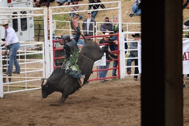 Falkland Stampede-Falkland必去景点