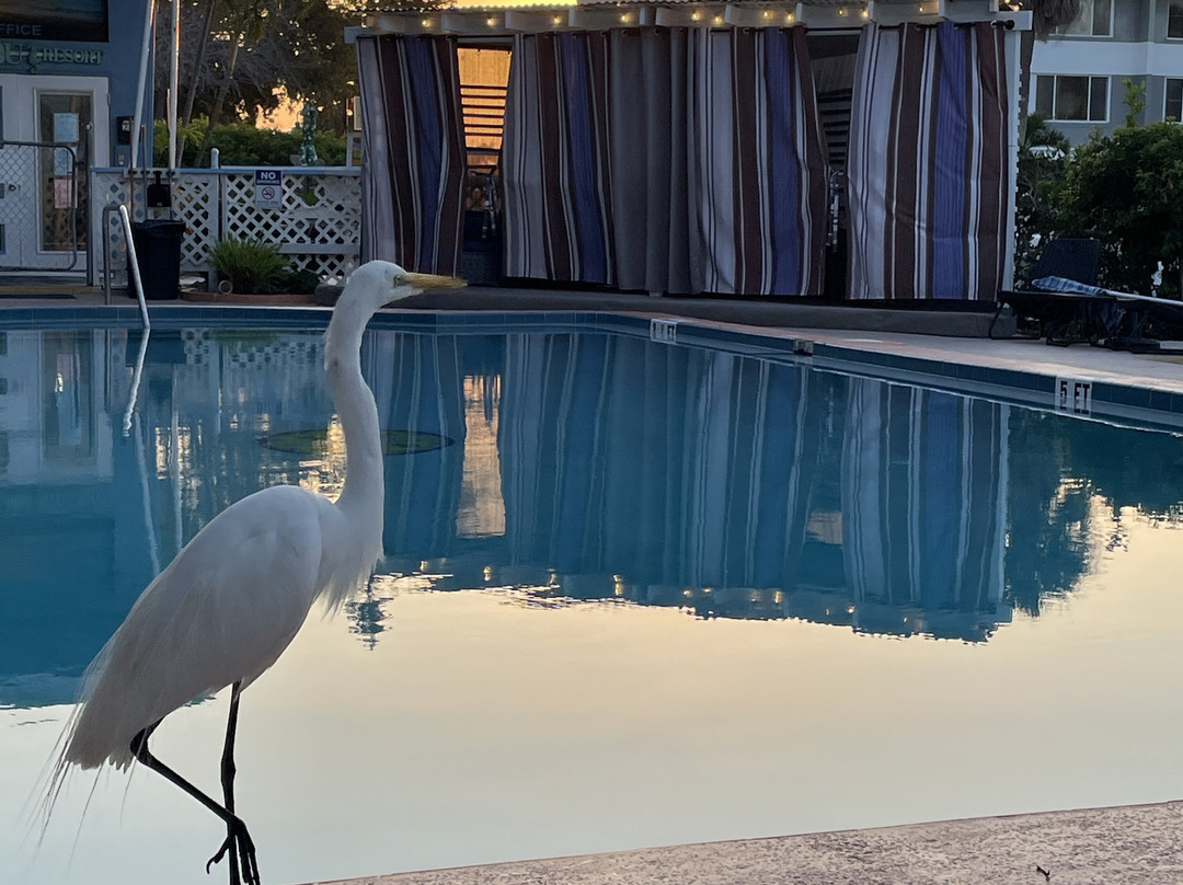 Malibu Resort Motel主图