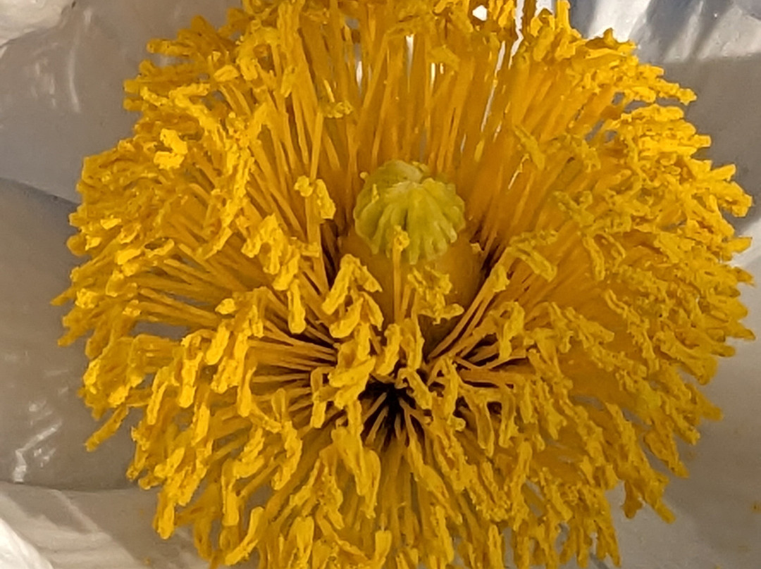 Meditation Mount-奥海必去景点