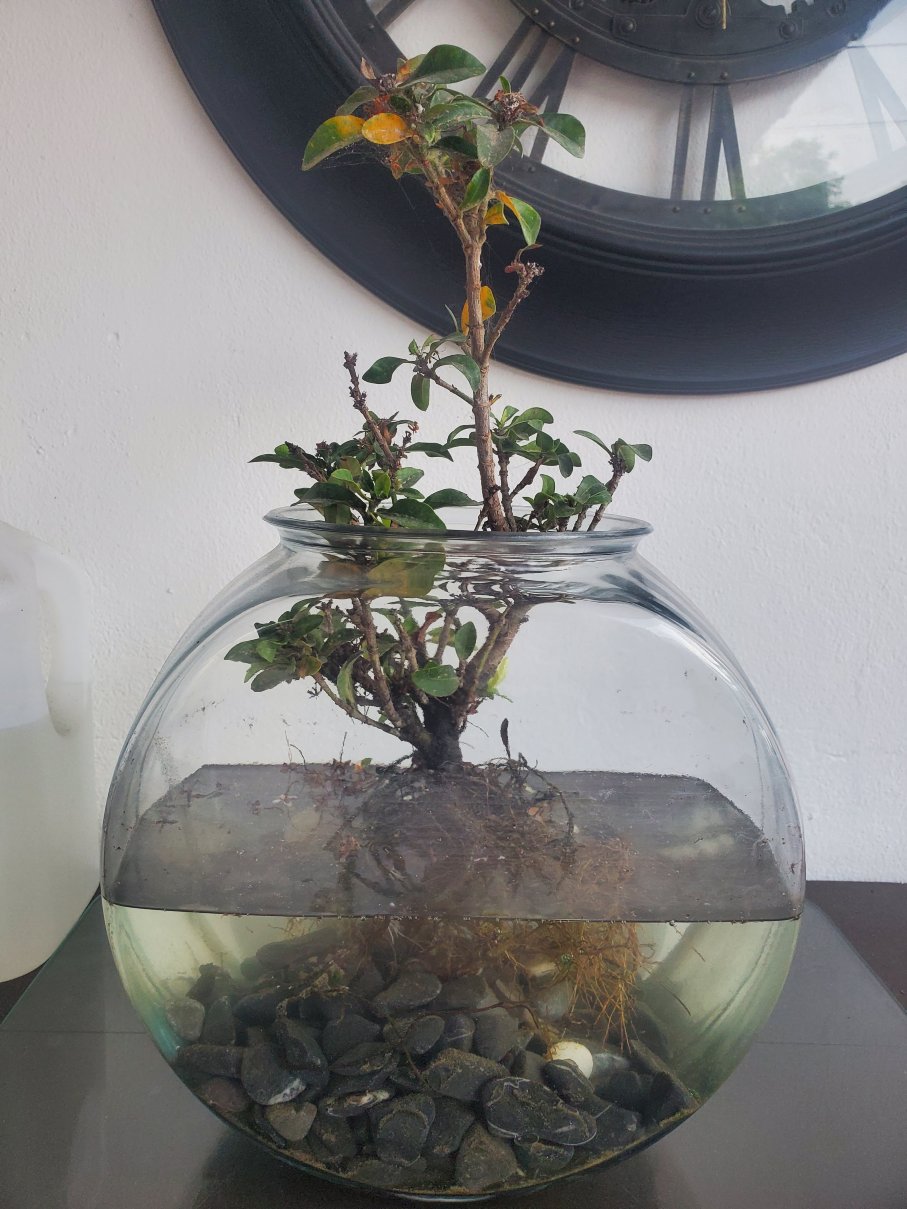 帕尔马斯酒店-官方