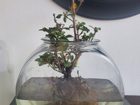 帕尔马斯酒店主图