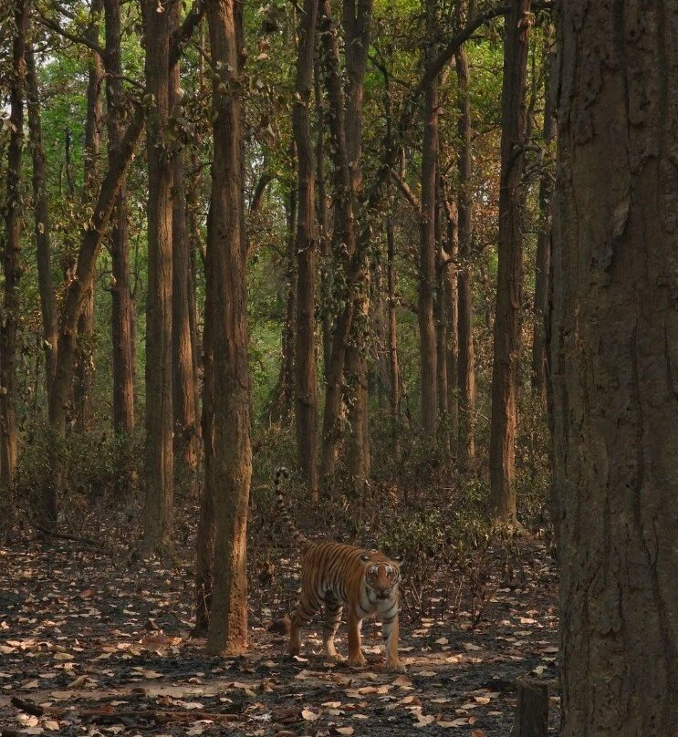 Gyan Yatra景点图片
