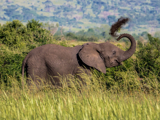 Mwendo Luxury Tours.-卡巴莱必去景点