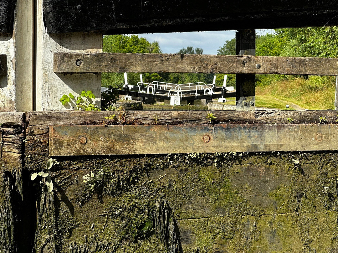 Rose Narrowboats-拉格比必去景点