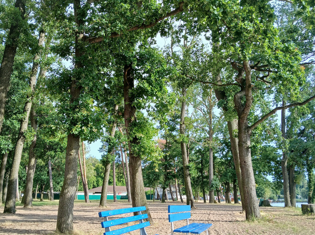 Arendsee Lake景点图片
