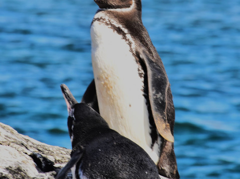 Nature Galapagos & Ecuador-基多必去景点