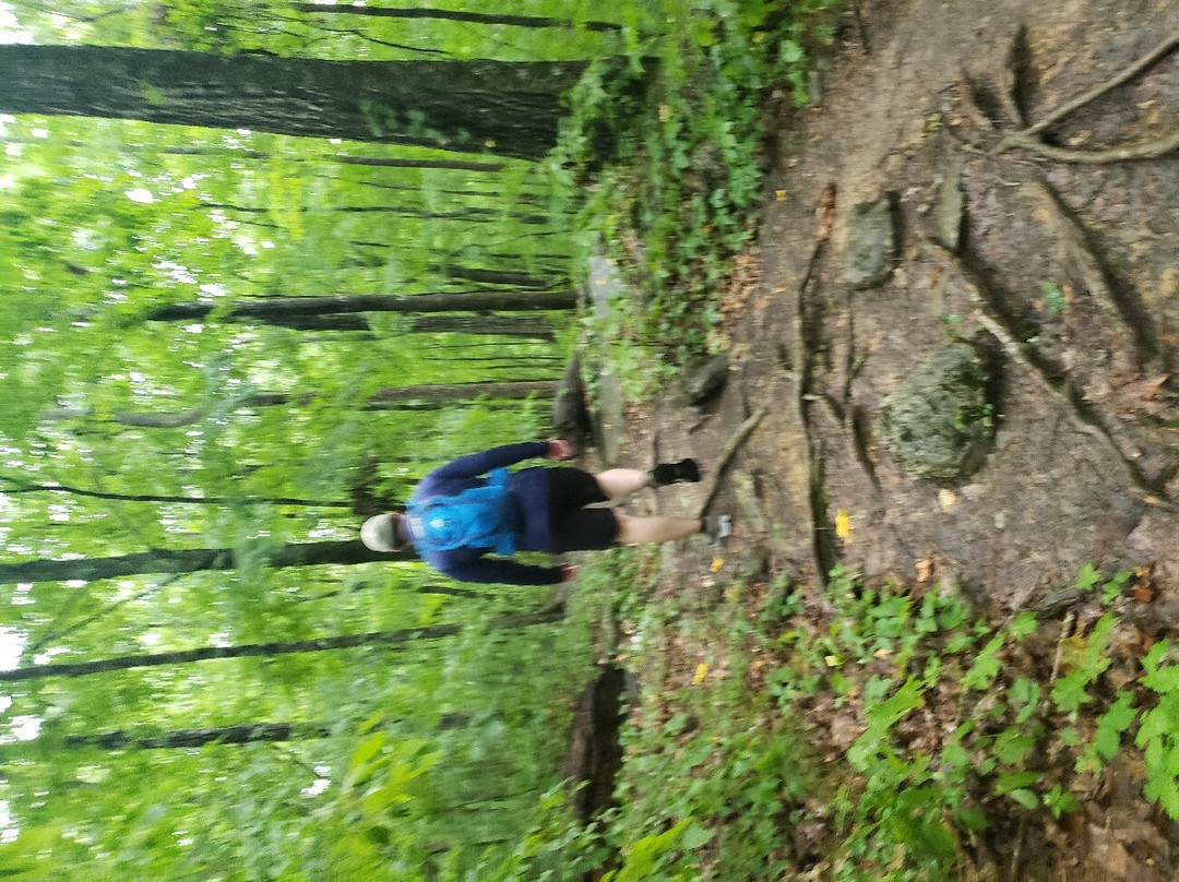 Walls of Jericho-Estillfork必去景点