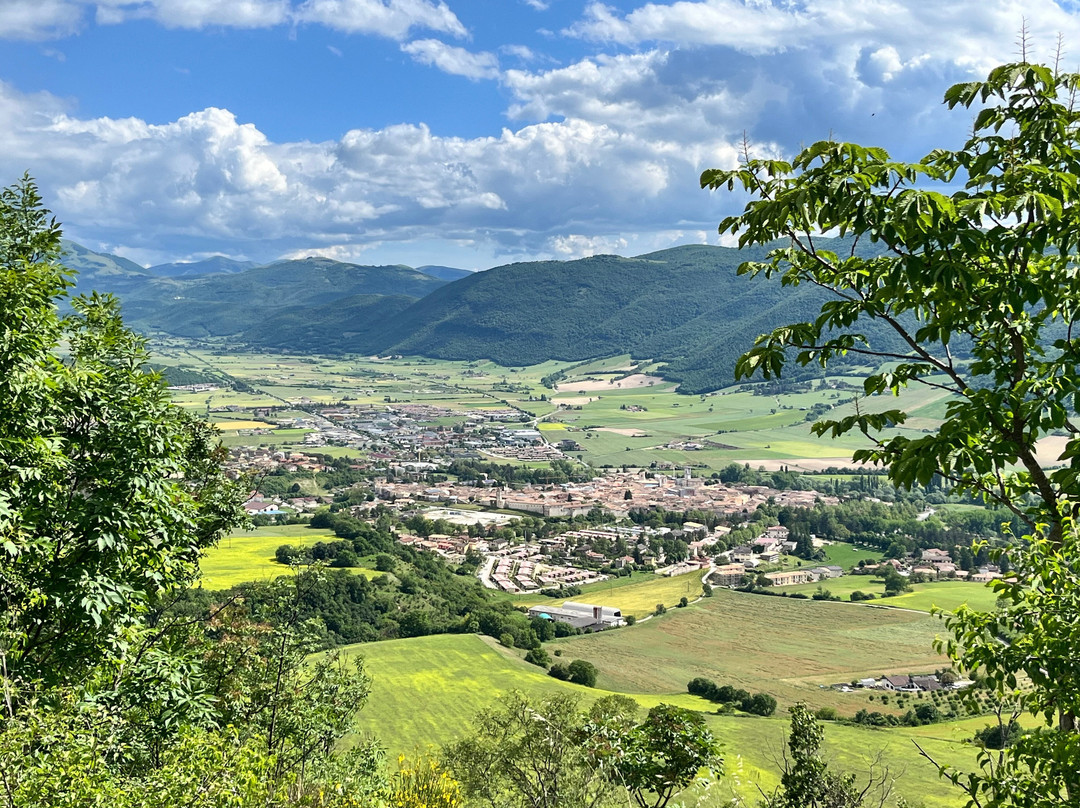 Road Bike Tours Italy景点图片