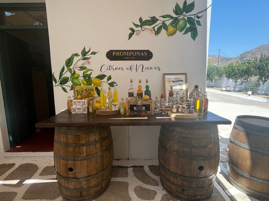 Kítro Náxou Promponás-纳克索斯必去景点