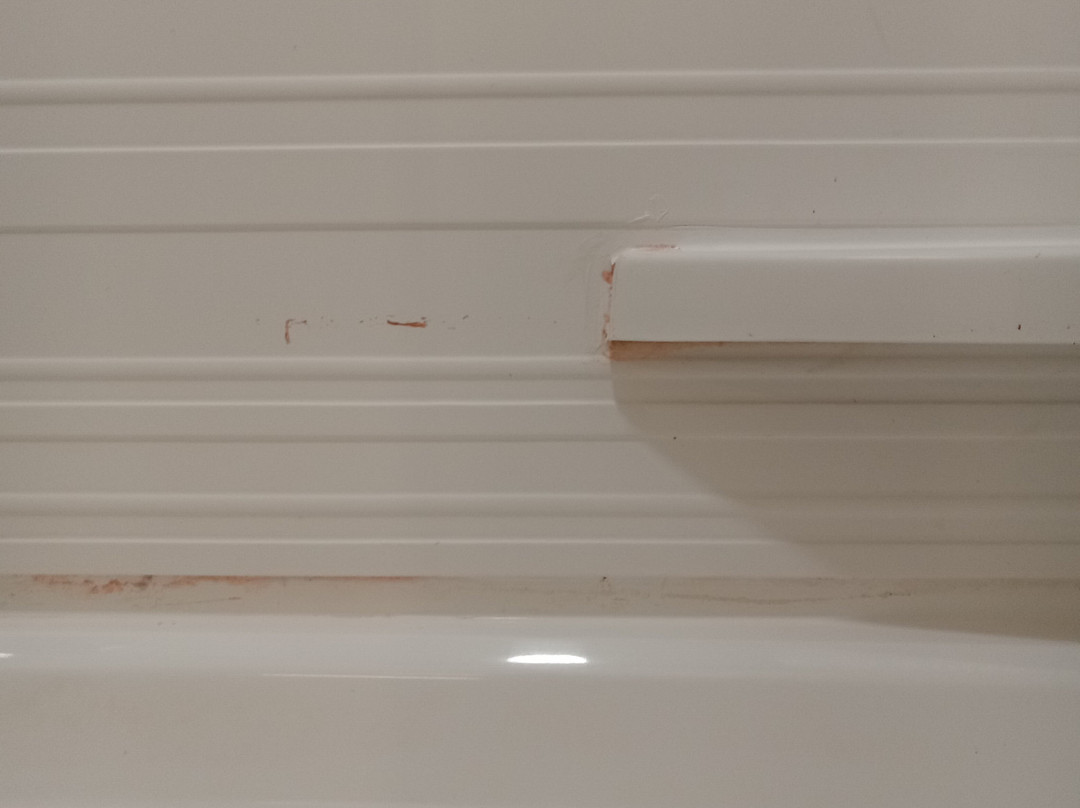 Avid Hotel Fort Wayne North By Ihg主图