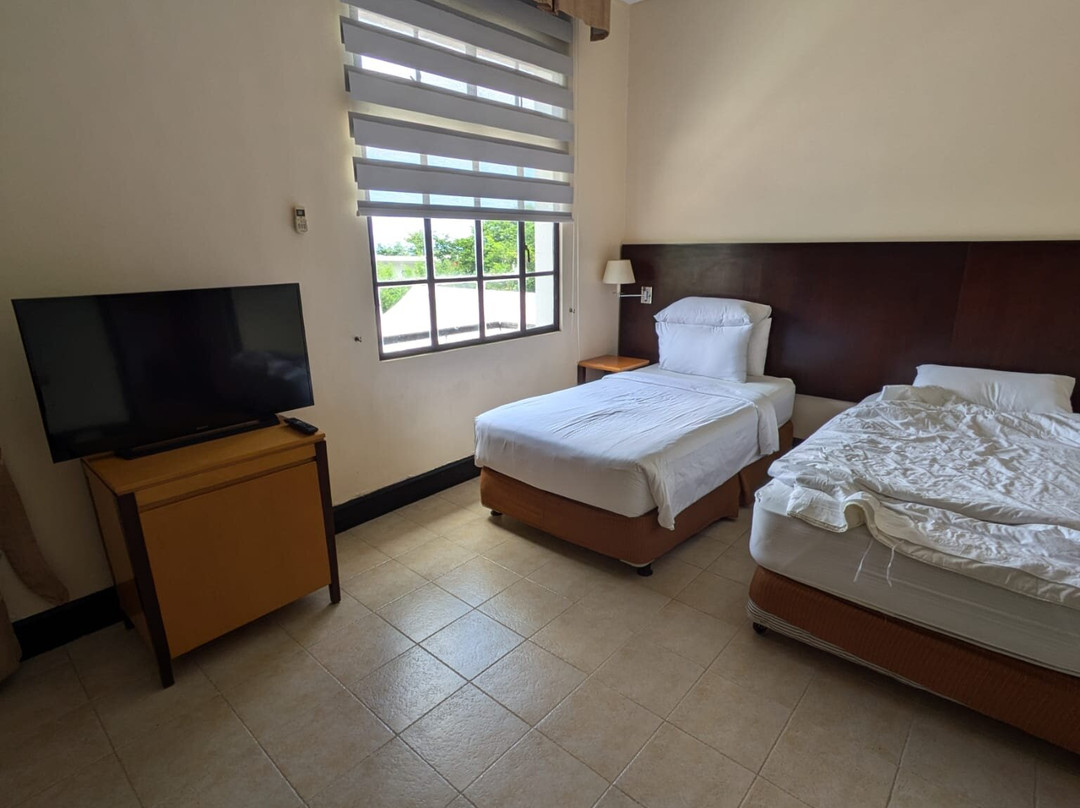 庞特菲诺酒店主图