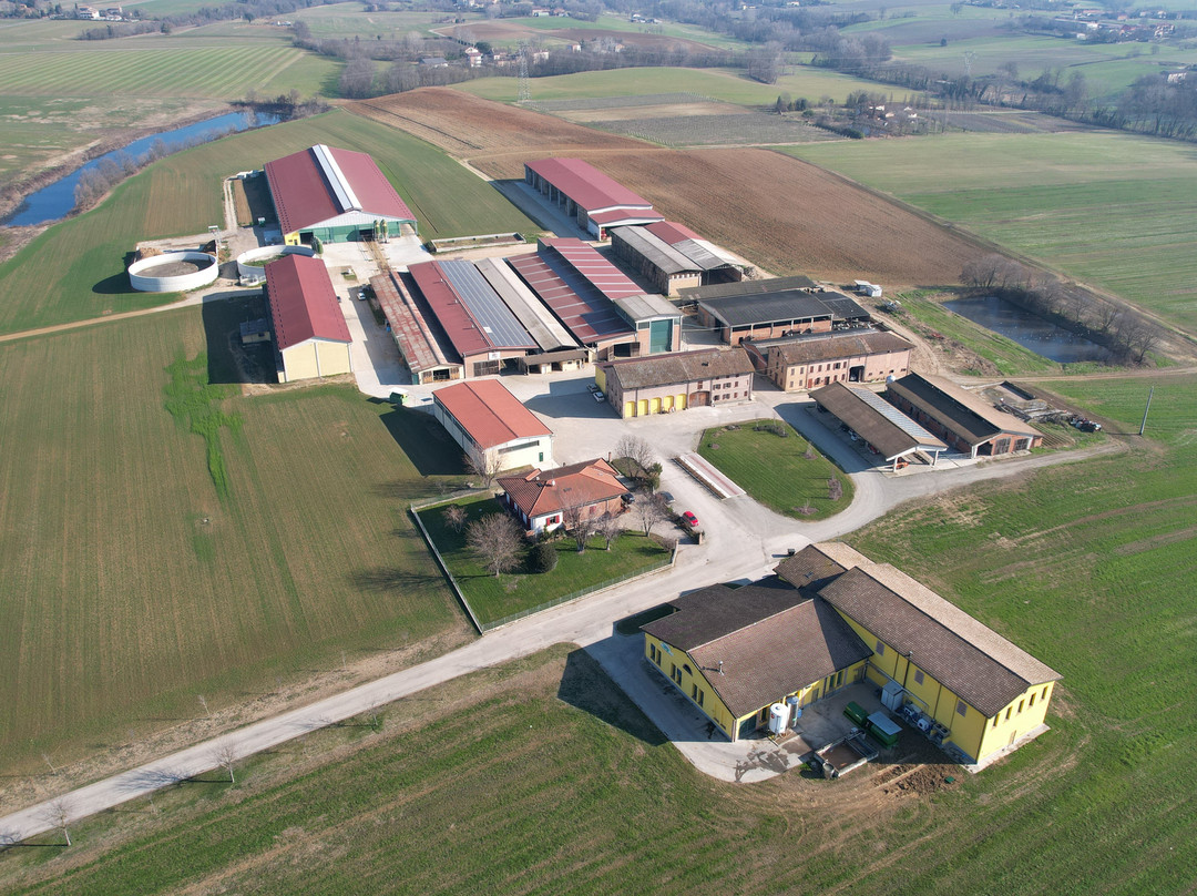 Antica Fattoria Caseificio Scalabrini景点图片