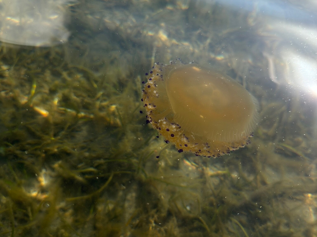 La Manga del Mar Menor-穆尔西亚必去景点