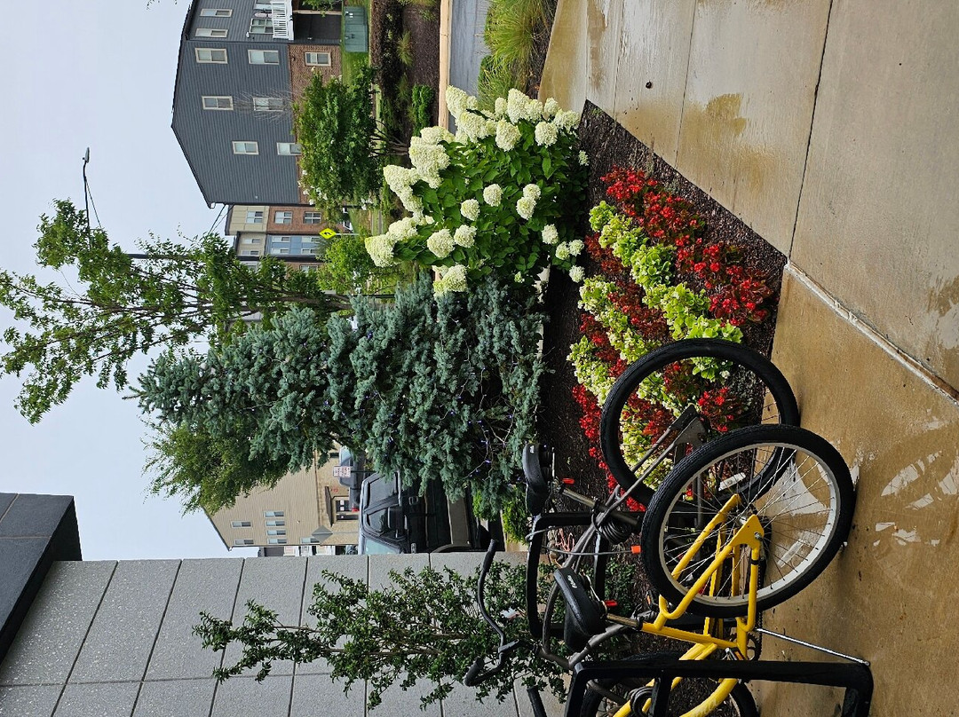 Tru By Hilton Manassas主图