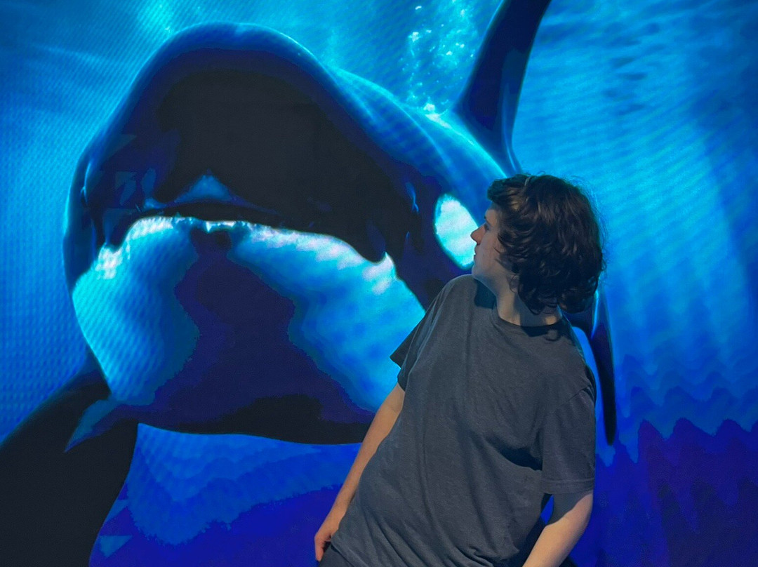 XPERIA: Smoky Mountains-塞维尔维尔必去景点