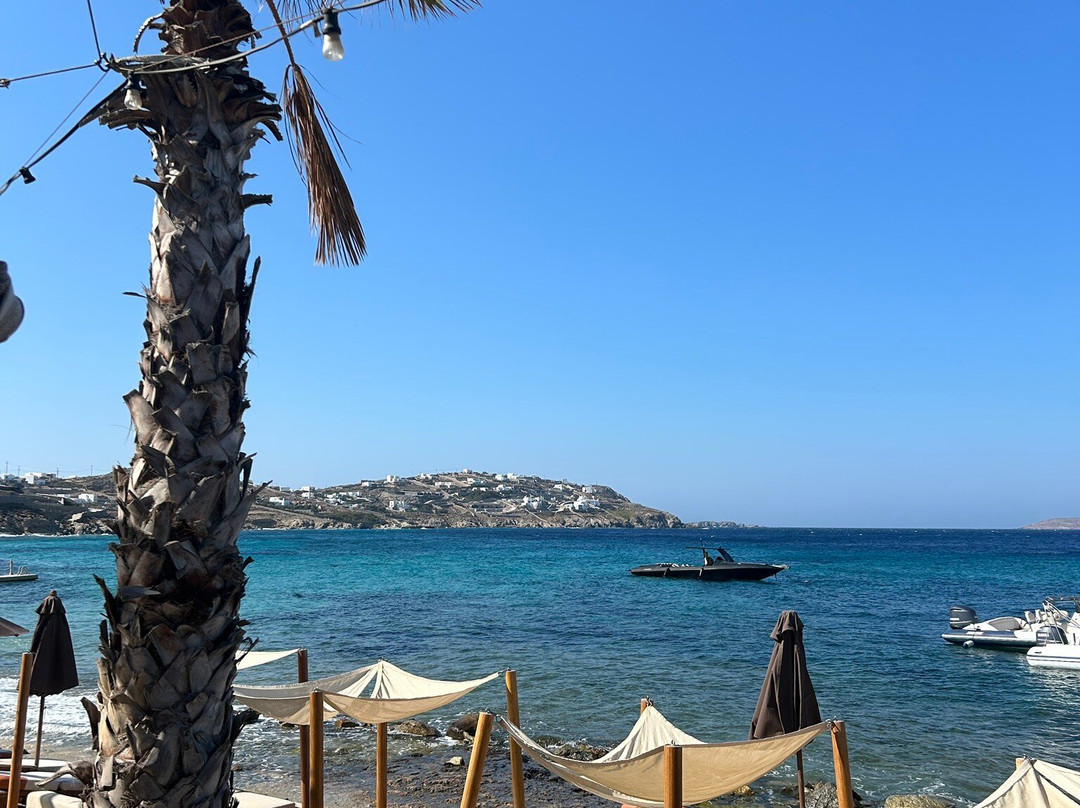 Hippie Chic Hotel主图