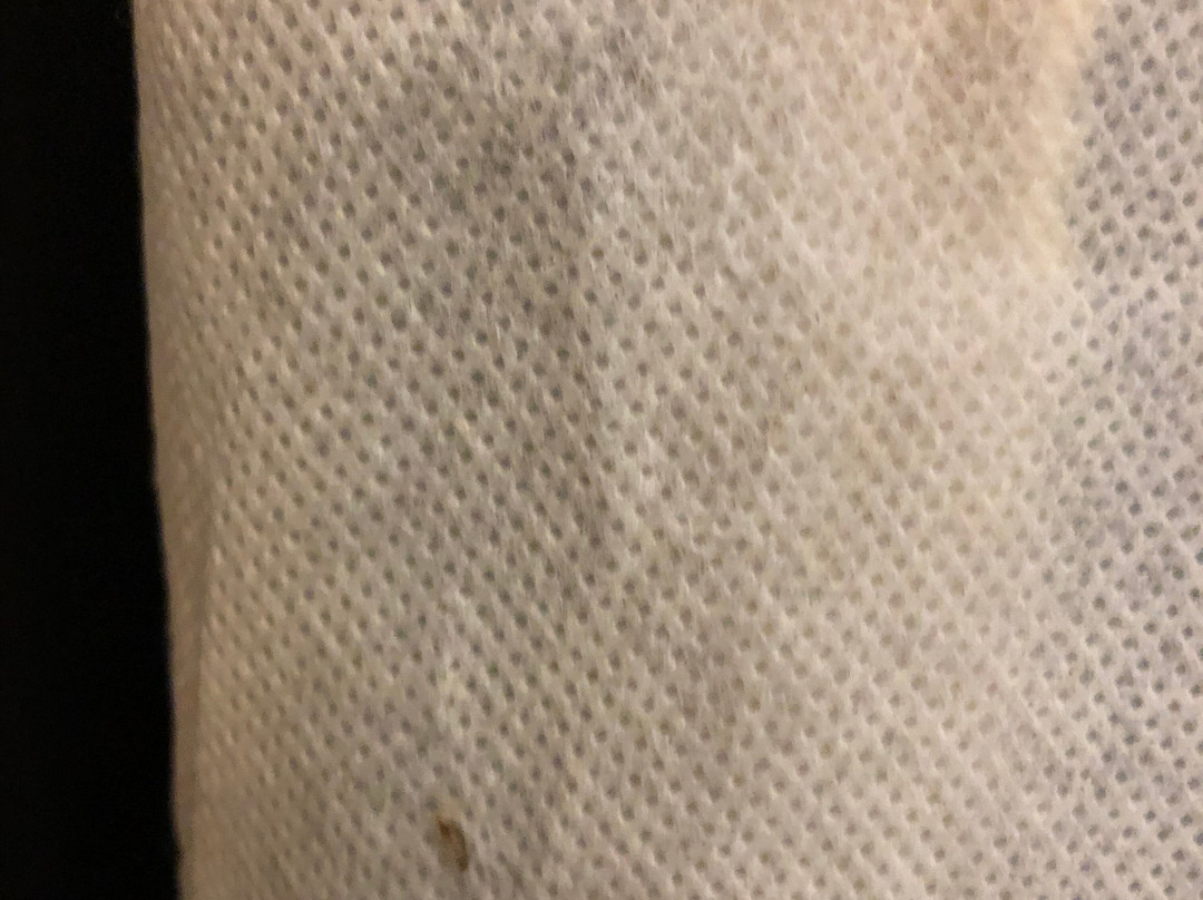 Staybridge Suites Tysons - Mclean By IHG主图