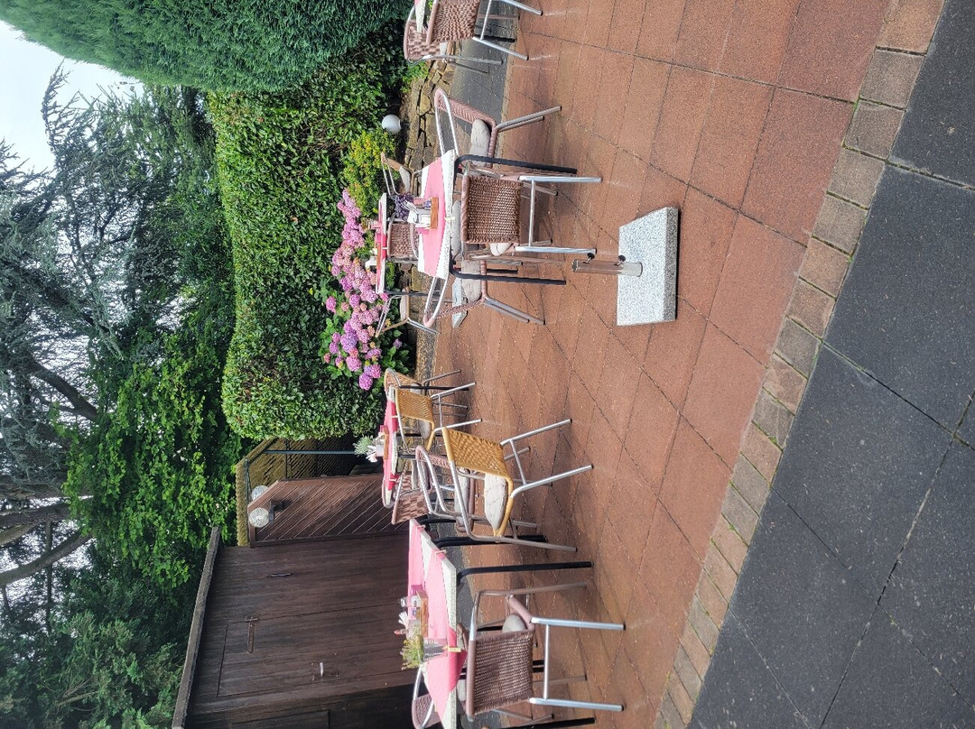 Garten-Hotel Ponick主图