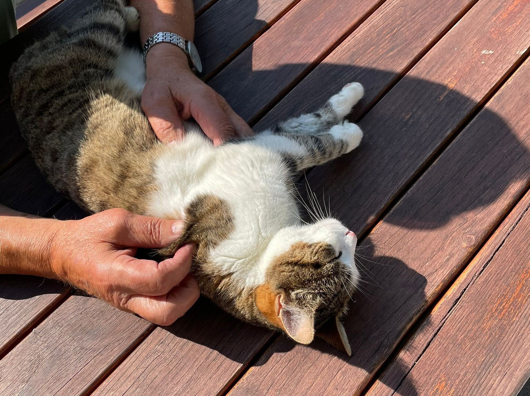 Weingut Fellner主图