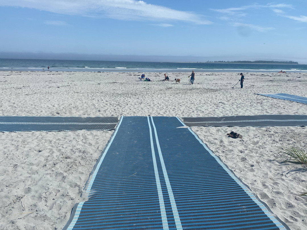 Beach Meadows Beach Park景点图片