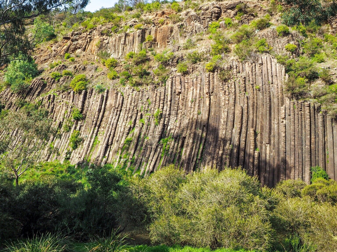 Organ Pipes National Park-凯乐尔必去景点