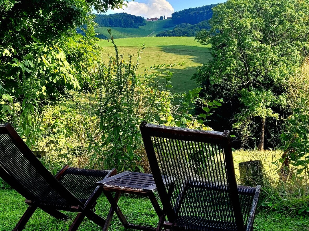 Ewitsch 13 Hotel & Wirtshaus am Platschberg主图