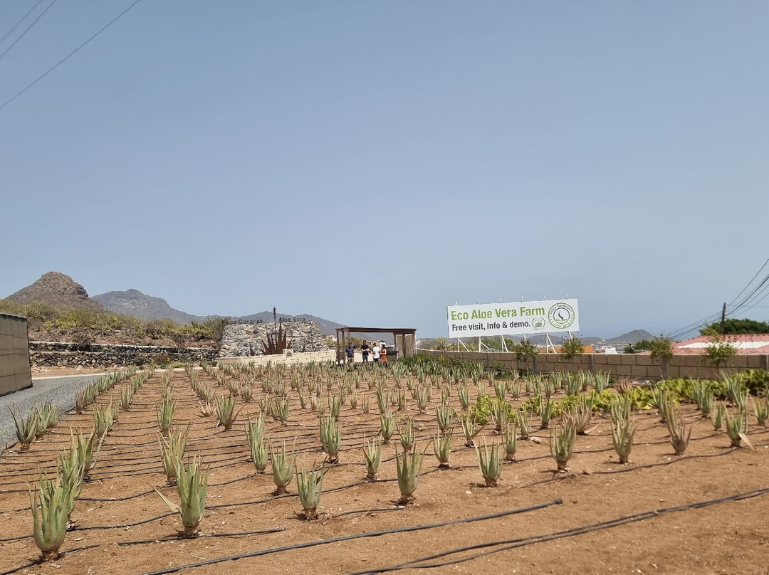 Finca Canarias Aloe Vera-Guimar必去景点