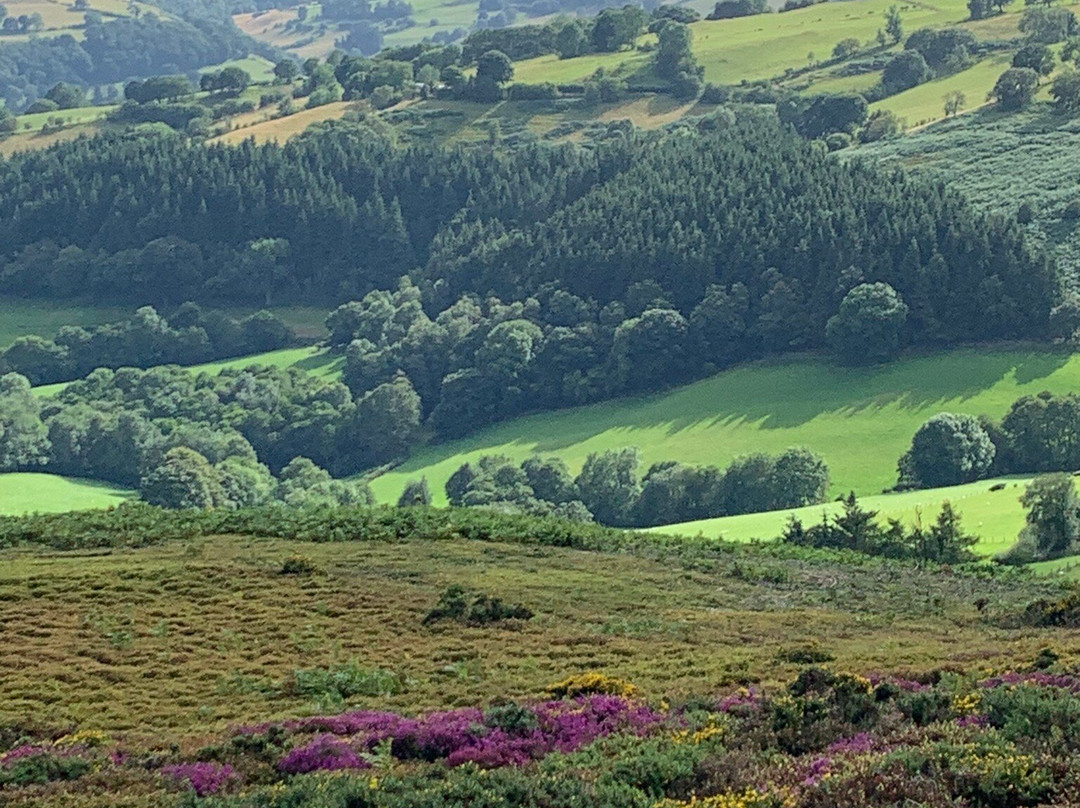 Clwydian Range Area of Outstanding Natural Beauty-Cilcain必去景点