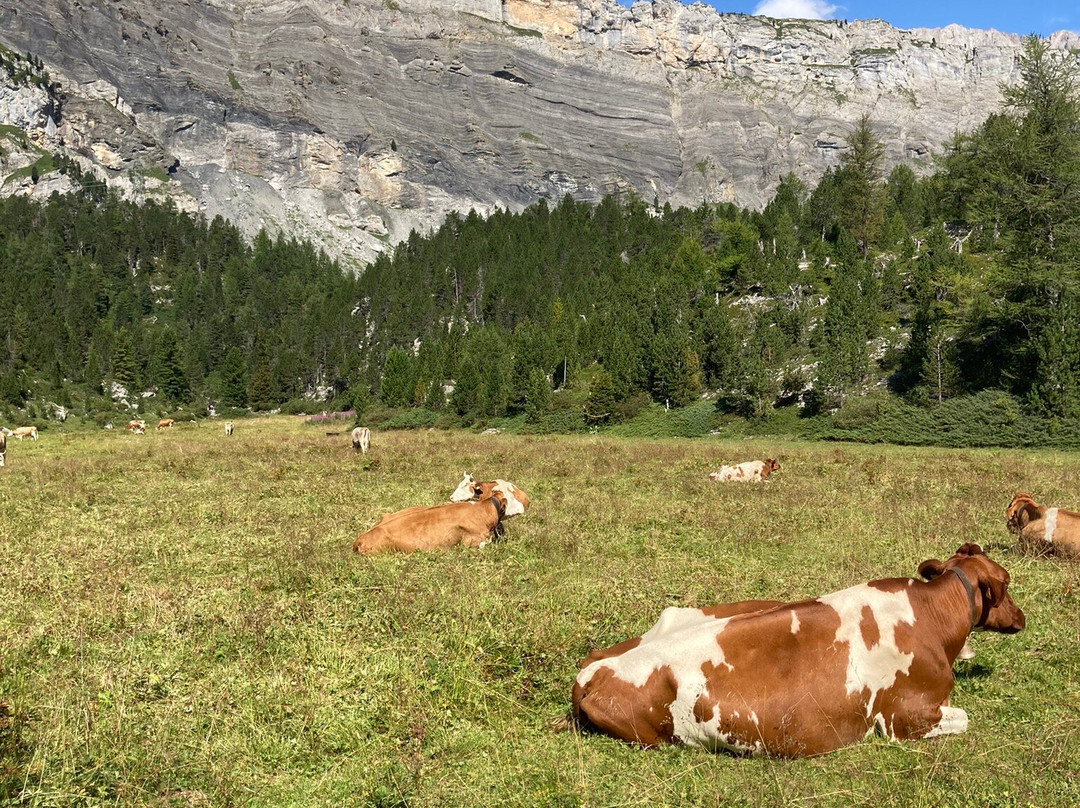 Luftseilbahn Kandersteg-sunnbüel-坎德斯泰格必去景点