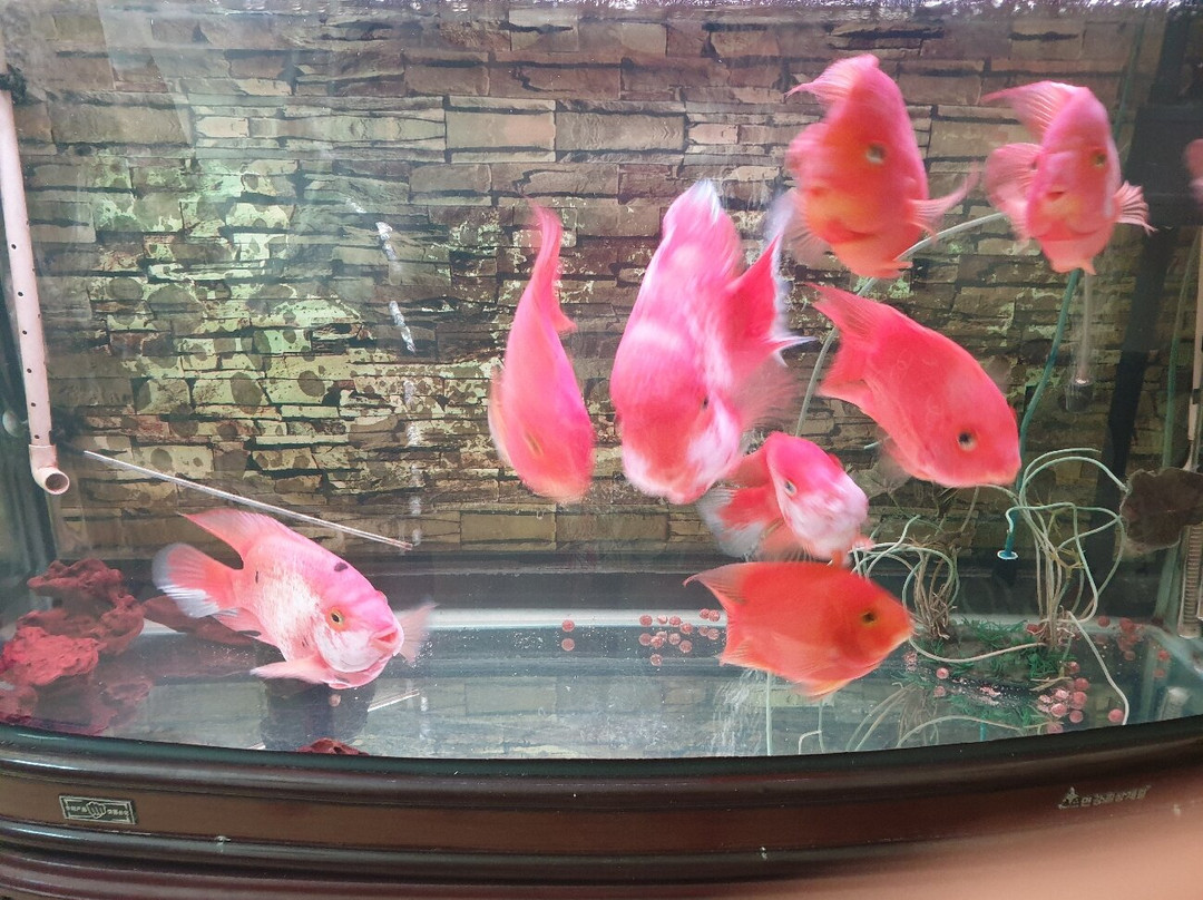 Vietnam heritage daily tour-河内必去景点