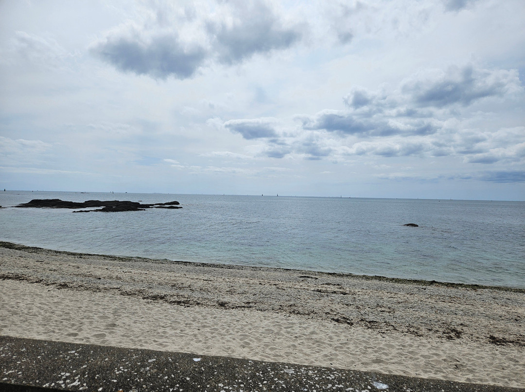 Plage Des Sables Blancs景点图片