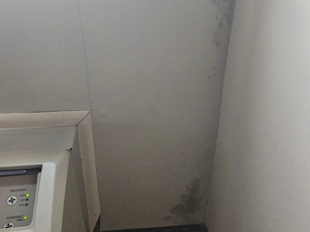 Wingate by Wyndham Ashland主图