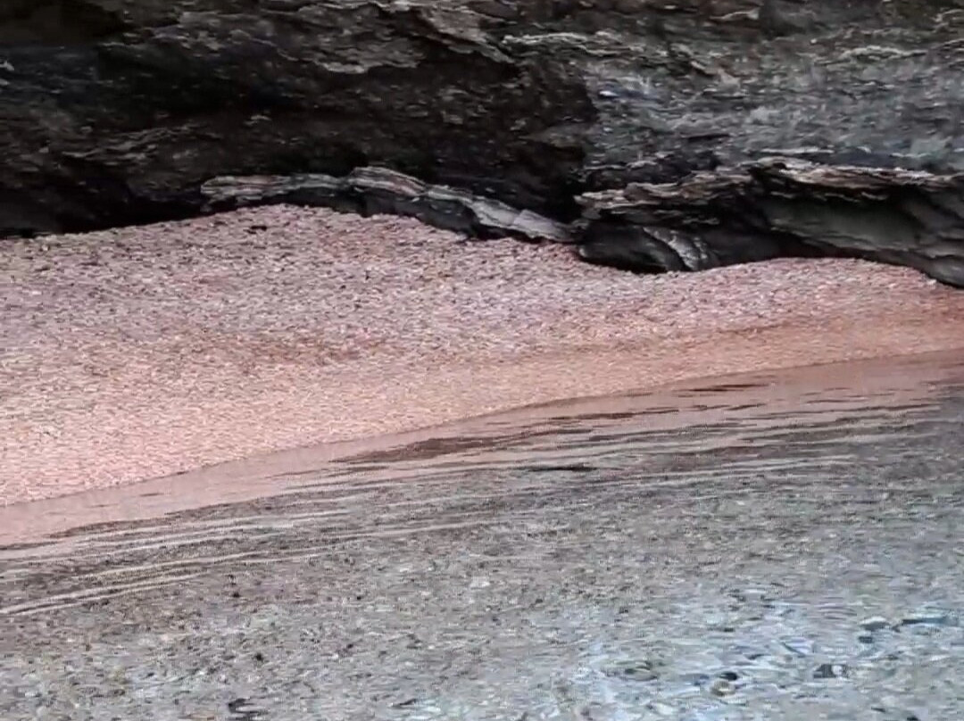 Vitali Beach-安德罗斯必去景点