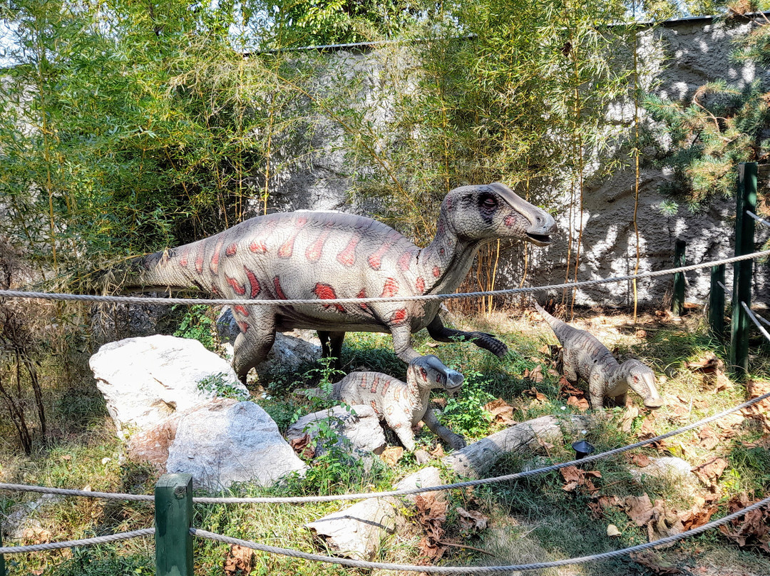 Skopje ZOO-斯科普里必去景点