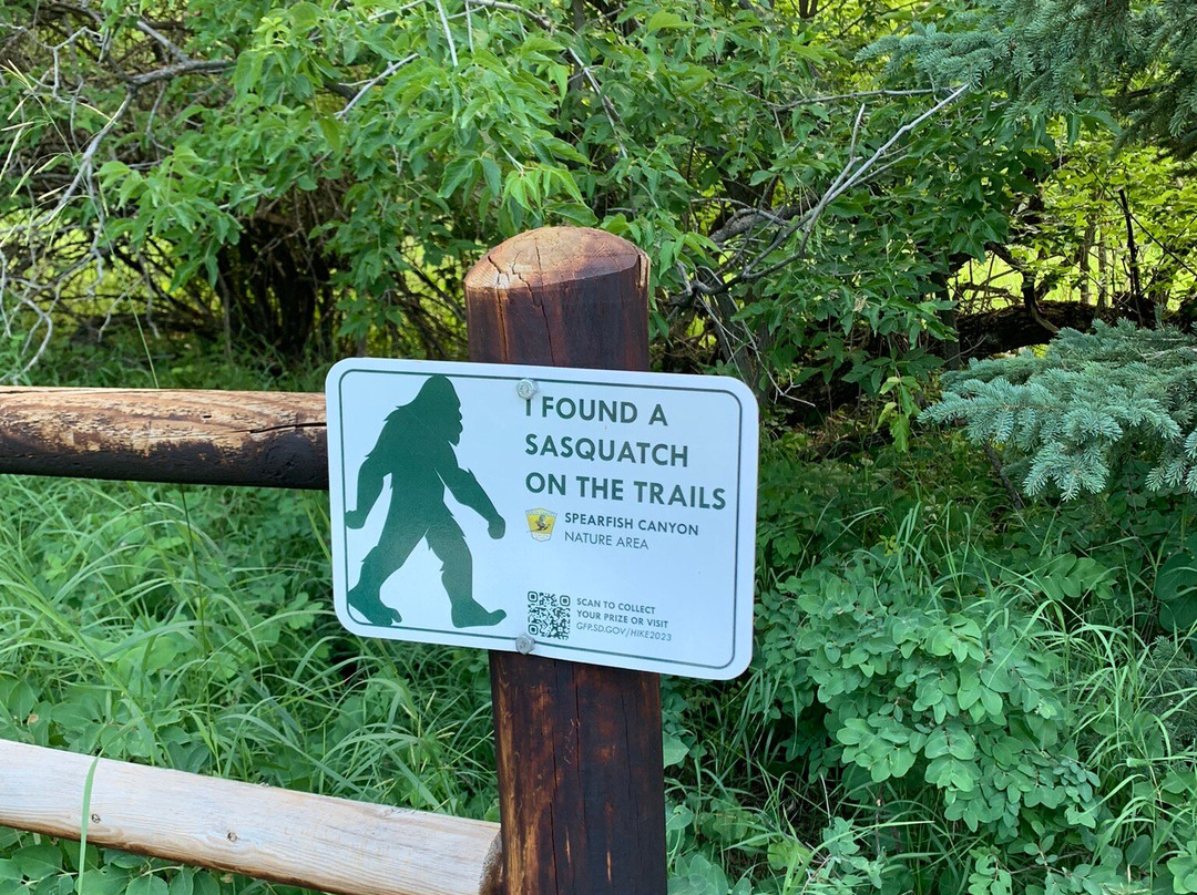 Spearfish Canyon Scenic Byway-Spearfish必去景点