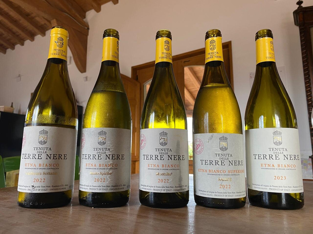 Tenuta delle Terre Nere Azienda Vinicola景点图片
