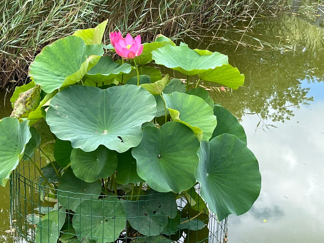Parc Kellermann-巴黎必去景点