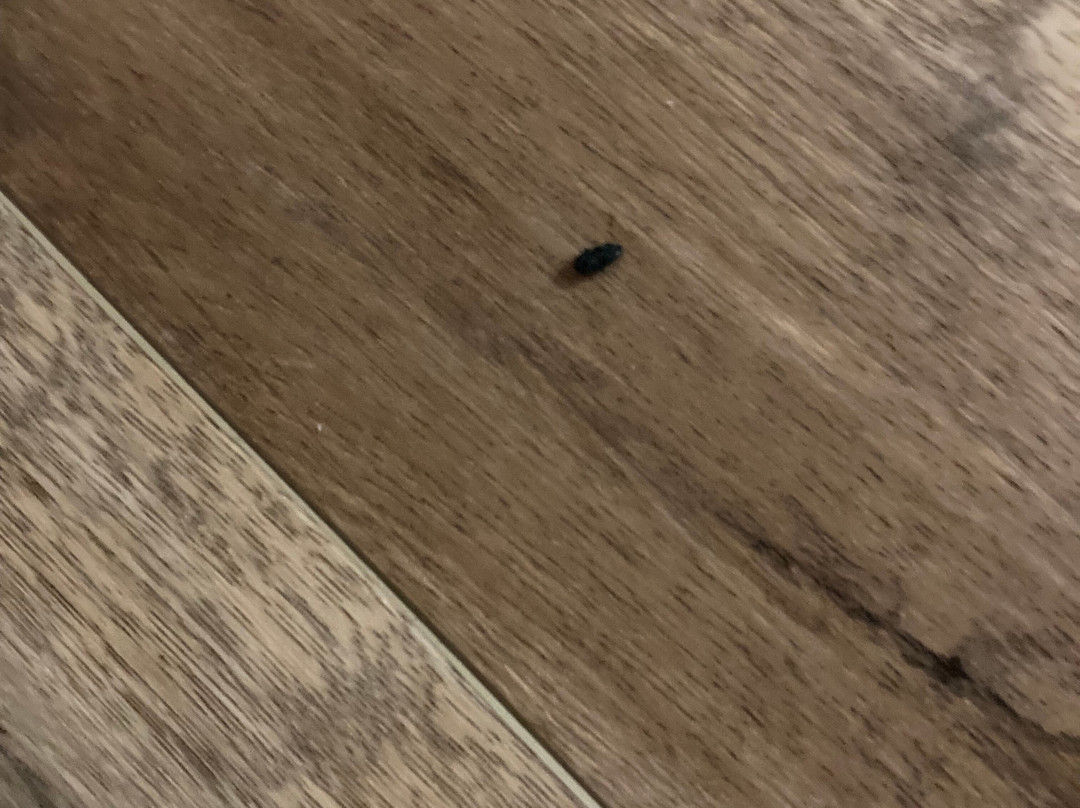 Super 8 by Wyndham the Dalles OR主图