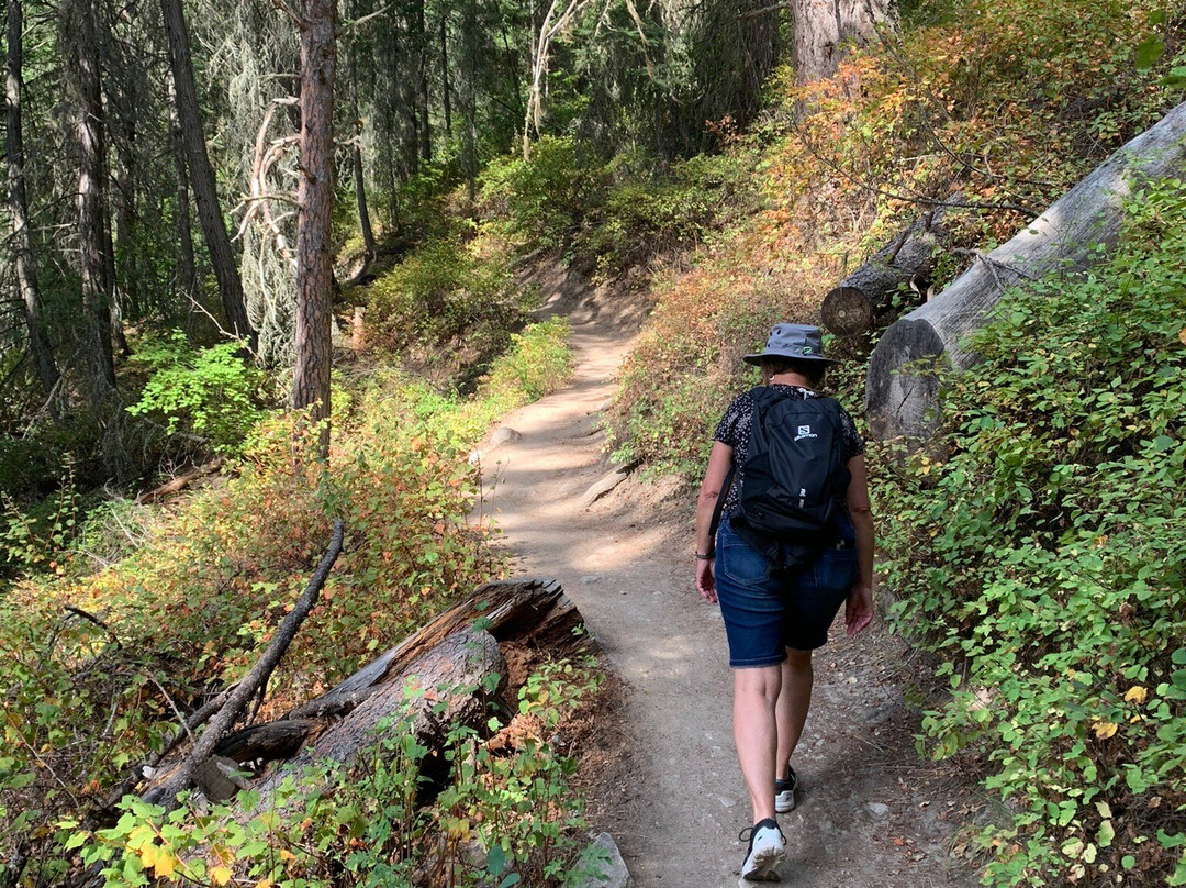 Pulpit Rock-Nelson必去景点