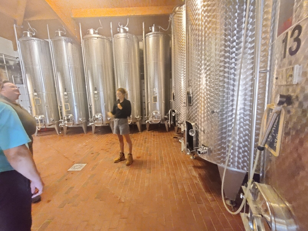 Domaine La Louviere-Malvies必去景点