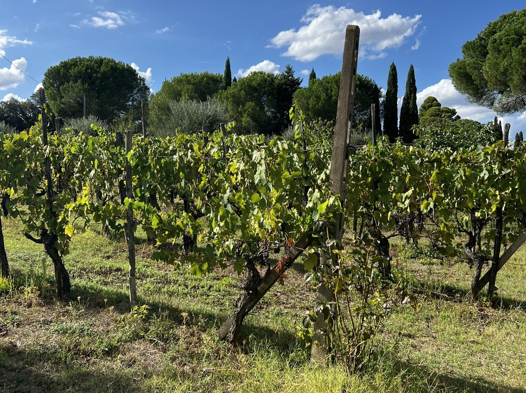 Podere San Quirico主图