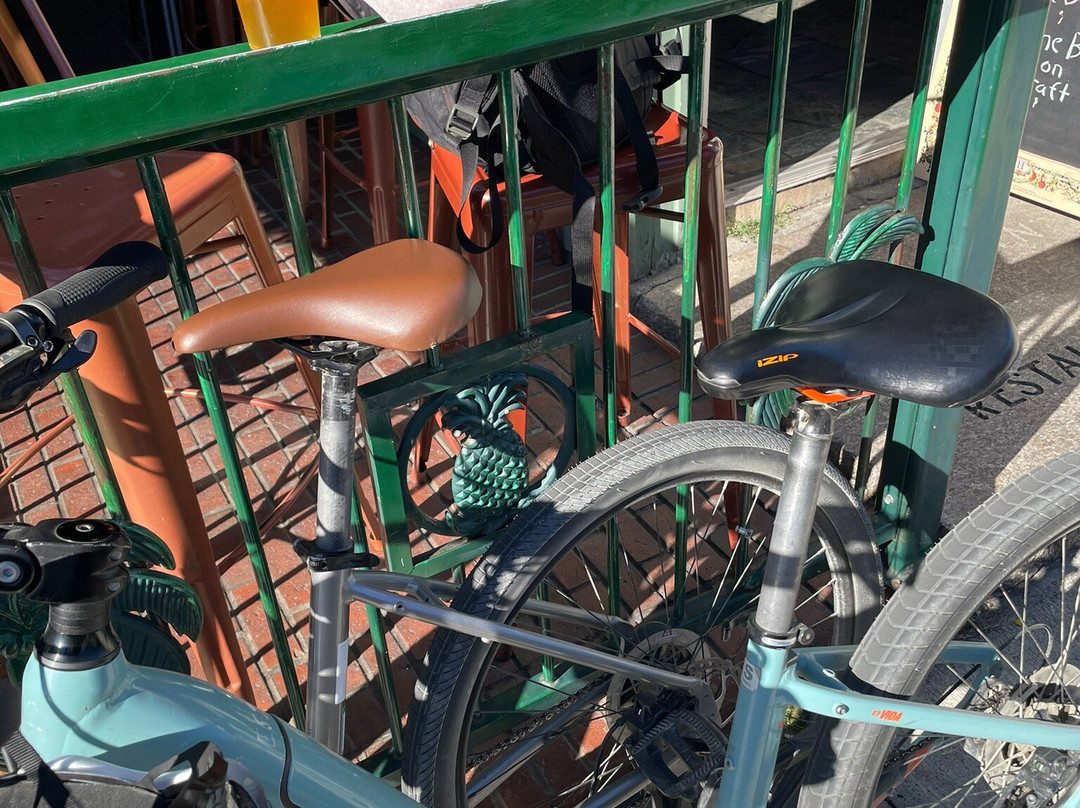 Acadia Bike景点图片