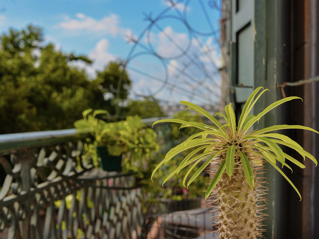 Loft Habana Boutique Hotel主图