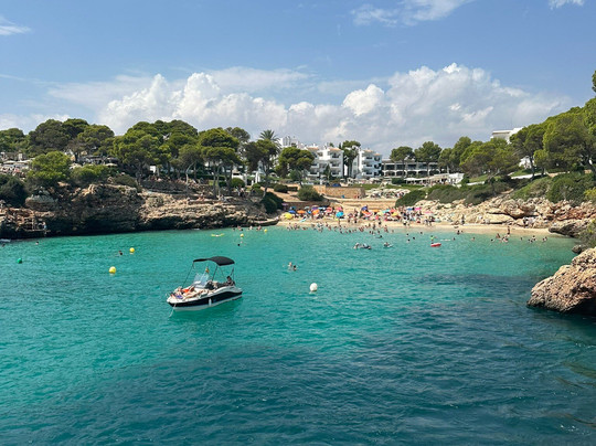 Starfish Glass Bottom Boats-Portocolom必去景点