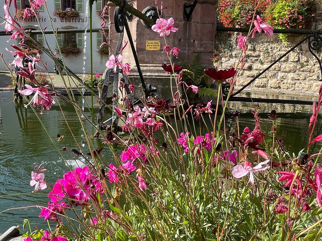 Saint-Leon Fountain-艾古斯汉必去景点