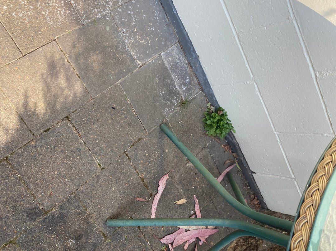 布莱克希斯汽车旅馆主图