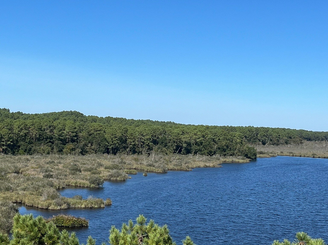 Réserve Naturelle De l'Etang De Cousseau景点图片