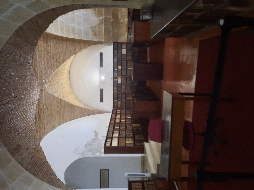 Biblioteca Joanina景点图片