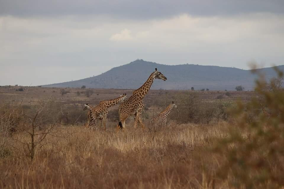 LUMO Community Wildlife Sanctuary景点图片