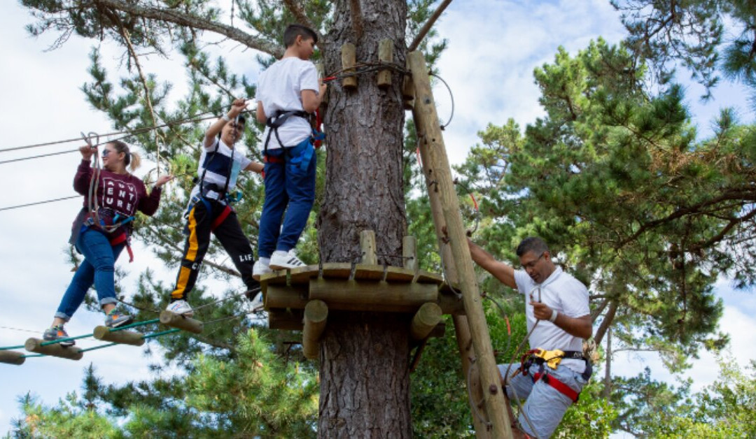 Acrobranch Garden Route-荒野必去景点